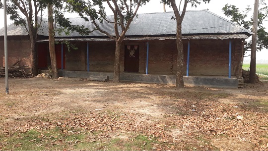 image-here